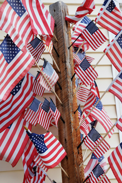 um monte de bandeiras americanas na casa
 - Foto, Imagem