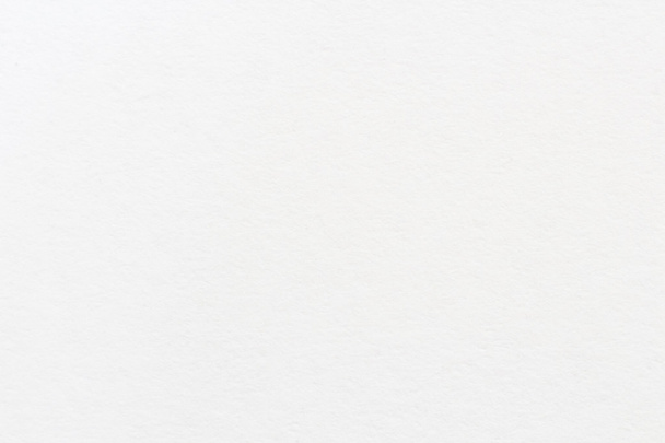 Λευκή Βίβλο υφή φόντου, grunge χαρτί - Φωτογραφία, εικόνα