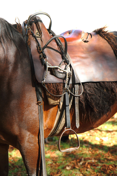 Horse saddle - Zdjęcie, obraz