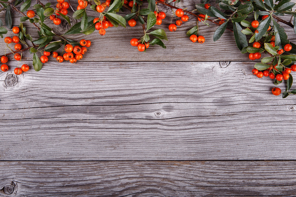 Ягоды оранжевой пираканты на старой деревянной доске
 - Фото, изображение