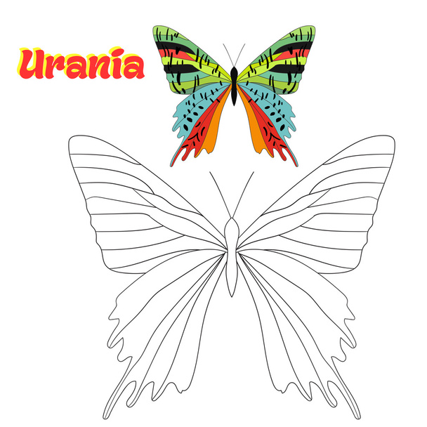 Educativo jogo colorir livro borboleta vetor
 - Vetor, Imagem