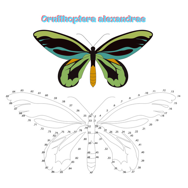 Jeu éducatif relier des points pour dessiner papillon
 - Vecteur, image
