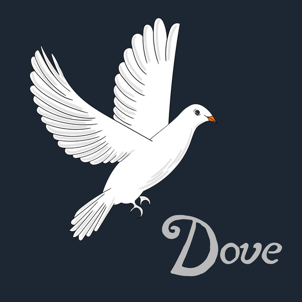 Bird dove vector illustration - Vektör, Görsel