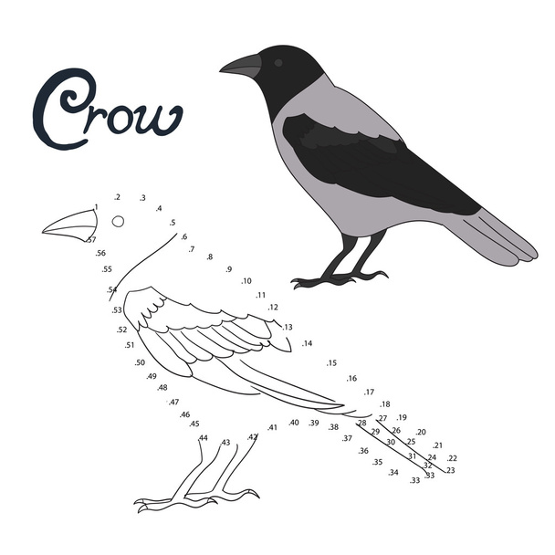 Educational game connect dots to draw crow bird - Вектор,изображение