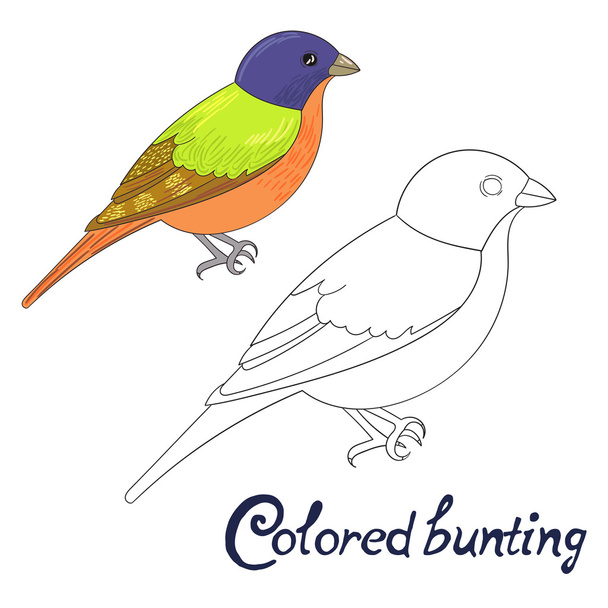 Educational game coloring book bird - Вектор, зображення