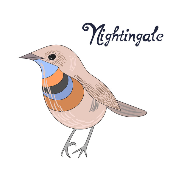 Bird nightingale vector illustration - Вектор, зображення