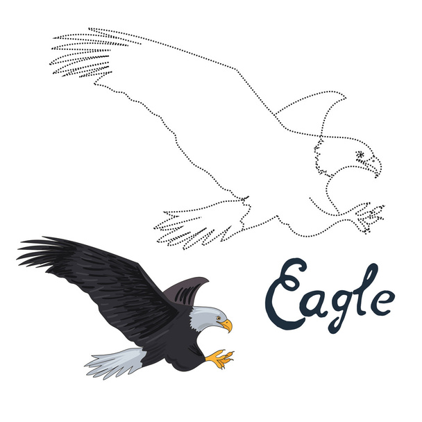 Educational game connect dots draw eagle bird - Vector, imagen