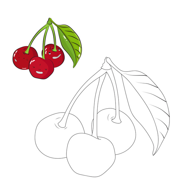 Educational game coloring book cherry fruit vector - ベクター画像
