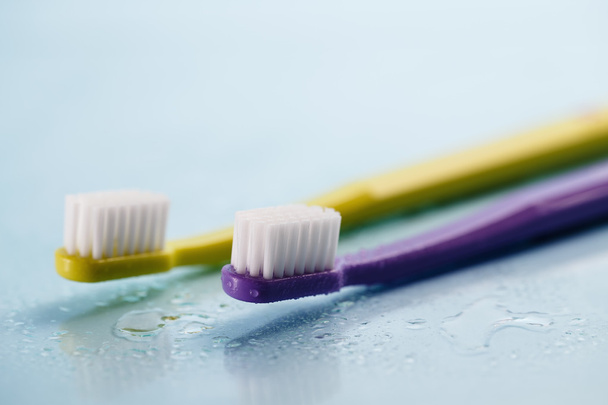 Toothbrushes on wet surface - 写真・画像