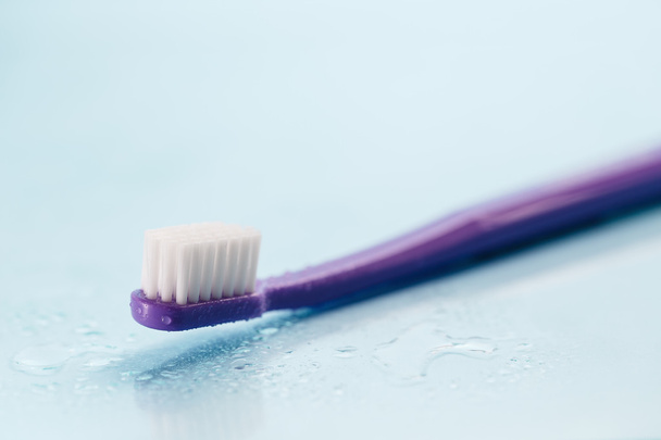 toothbrush on wet surface - 写真・画像