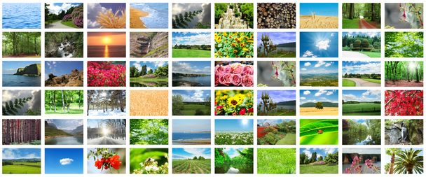 Collage of many nature photos - Φωτογραφία, εικόνα
