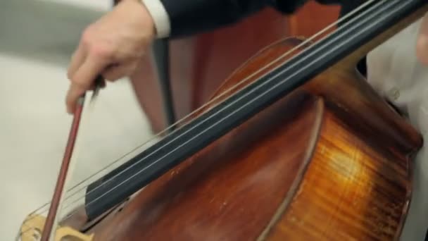 Toca el violín y el violonchelo
 - Metraje, vídeo