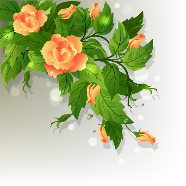 Roses background - Vetor, Imagem