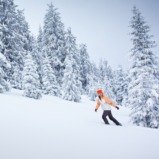 Hiker walks in snow forest - Fotoğraf, Görsel