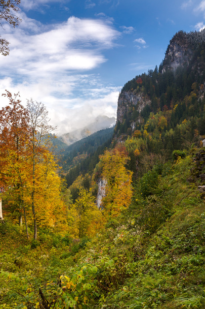 Bavyera'da manzara - Fotoğraf, Görsel