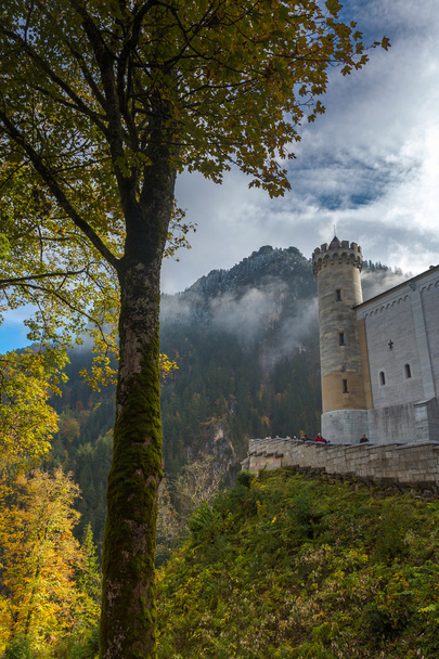 Castello di Neuschwanstein in Germania - Foto, immagini