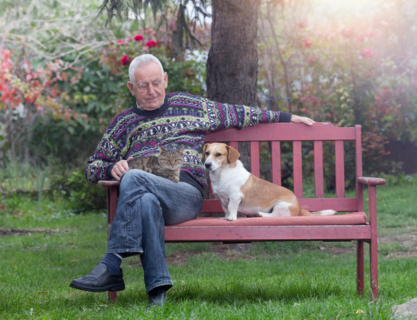 Senior homem com cães e gato
 - Foto, Imagem
