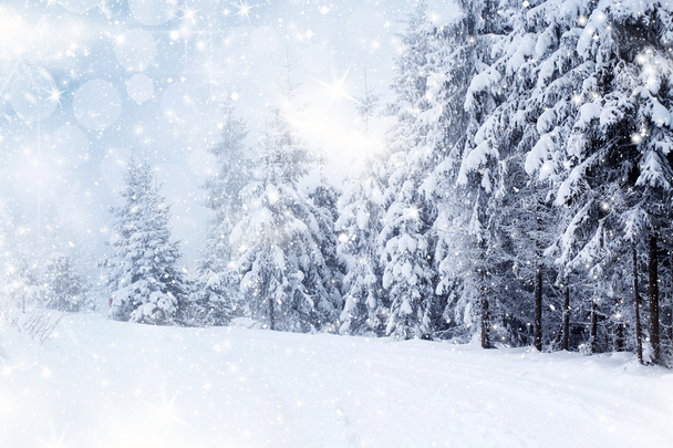 Karácsonyi háttér havas fenyő fák - Fotó, kép