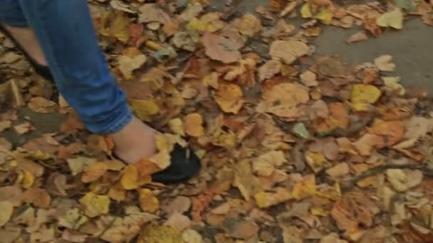 Γυναίκα με τα πόδια διασχίζουν τη χώρα και μονοπάτι στο δάσος φθινόπωρο - Πλάνα, βίντεο