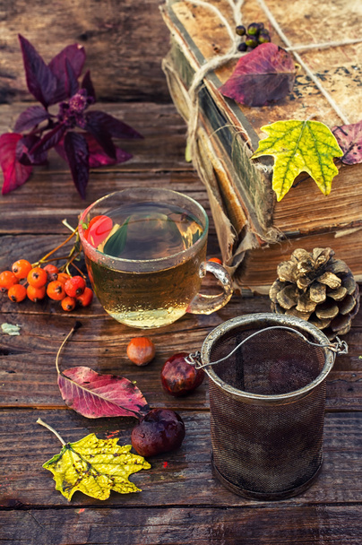naturemort tea in autumn - Photo, Image