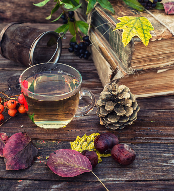 herbata naturemort jesienią - Zdjęcie, obraz