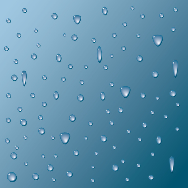 Background from the drops. Vector. - Vettoriali, immagini