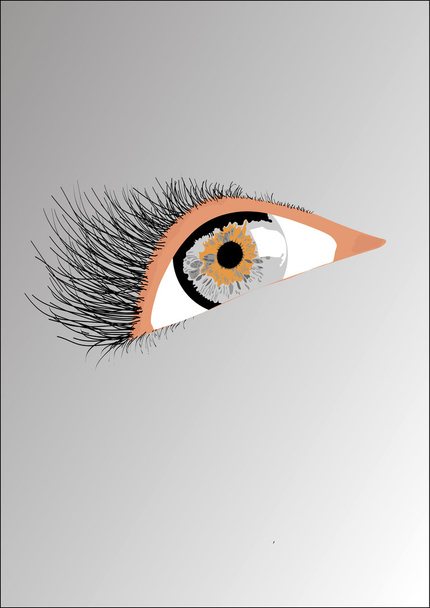 Olho cinza bonito
 - Vetor, Imagem
