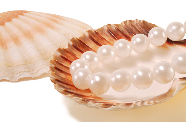 Sea shell with pearls - Fotoğraf, Görsel