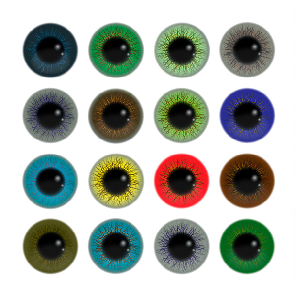 set of colorful irises of human eyes - Vetor, Imagem