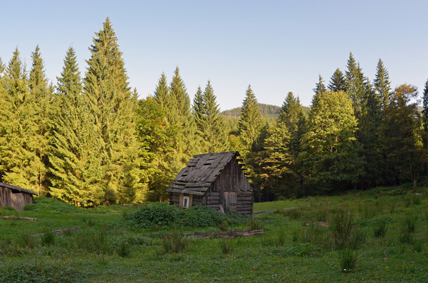 山の古い木造住宅 - 写真・画像