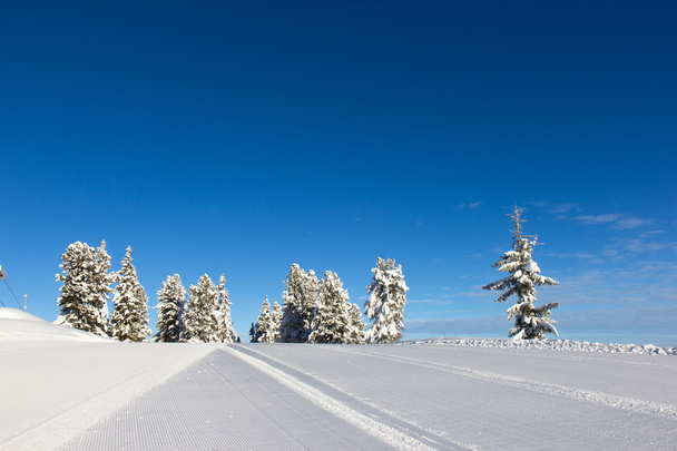 winter in Alps - Zdjęcie, obraz