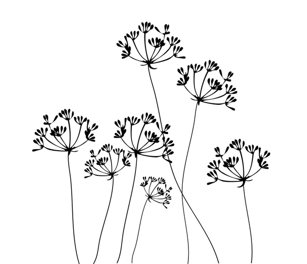 Venkel bloem Vector - Vector, afbeelding