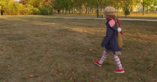 Menina com trança loira menina em cachecol vermelho boina e jaqueta está andando por grama seca no parque segurando um buquê de folhas e flores arbustos verdes
 - Filmagem, Vídeo