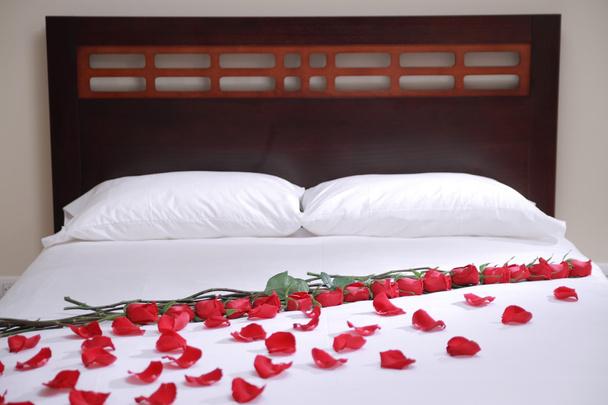 Bed of roses - Photo, Image