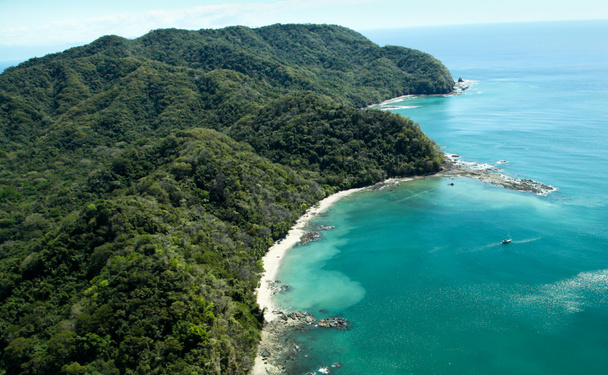Tropical Cove - Photo, Image