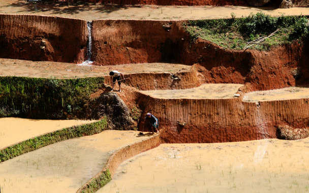 A rizsföldek teraszos a Mu Cang Chai, Yenbai, Vietnam. Vietnam tájak. - Fotó, kép