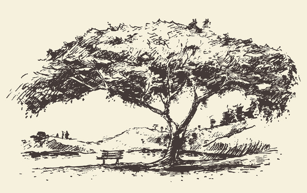 Ρομαντικό δέντρο με πάγκο συντάσσονται σκίτσο - Διάνυσμα, εικόνα