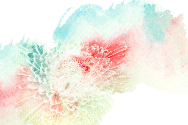 Flower watercolor illustration. - Photo, Image