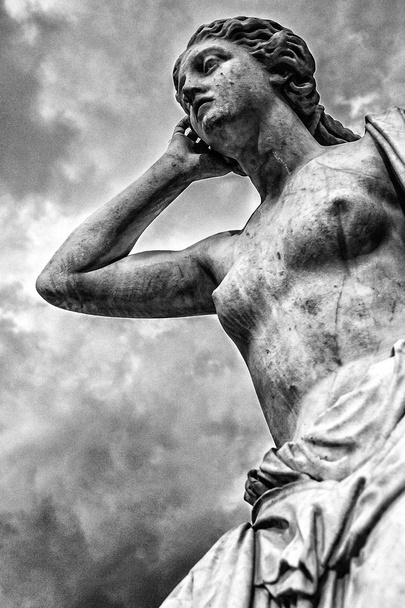 Mitología griega: Andromache
 - Foto, imagen