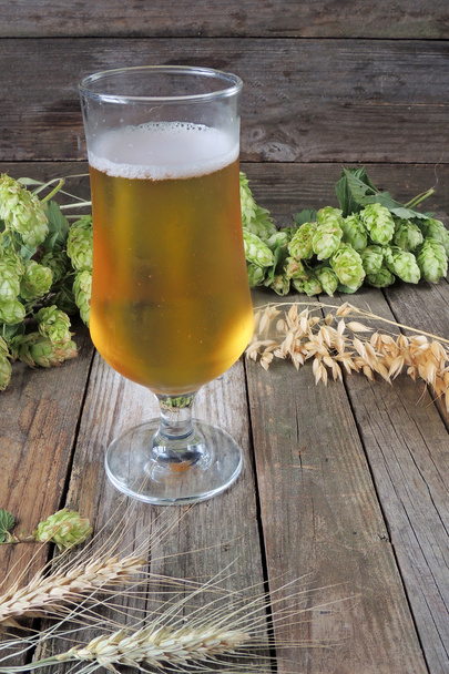 Bierglas met hop en gerst - Foto, afbeelding