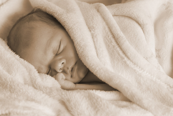 Retrato de bebê recém-nascido
 - Foto, Imagem