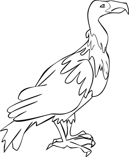 Coloring with vulture - Vettoriali, immagini