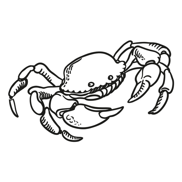 Detailed hand drawing Crab. Vector - Vector, Image