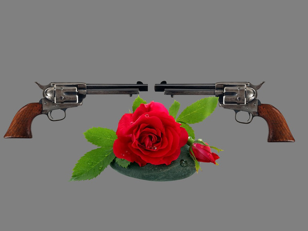 Rosa con pistola
 - Foto, imagen