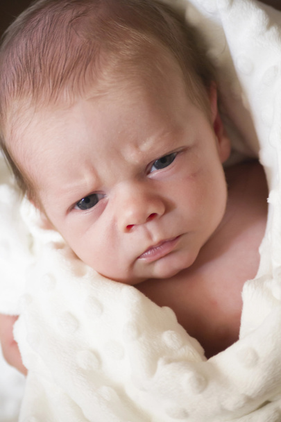 Νεογέννητο μωρό ψάχνει θυμωμένος - Φωτογραφία, εικόνα