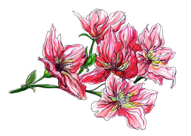 Pink tropical spring flowers - Zdjęcie, obraz
