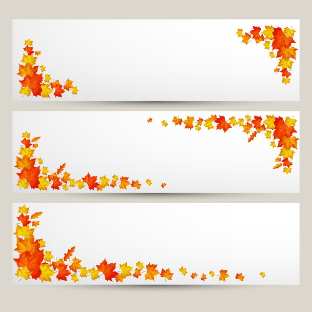 Conjunto de banners coloridos de folhas de outono
 - Vetor, Imagem