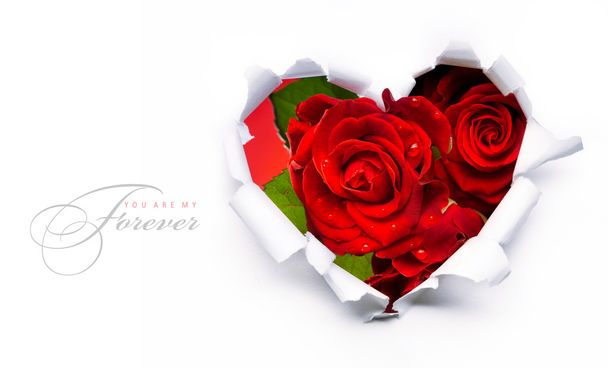 Art banner design of red roses and the paper heart on Valentine - Photo, Image