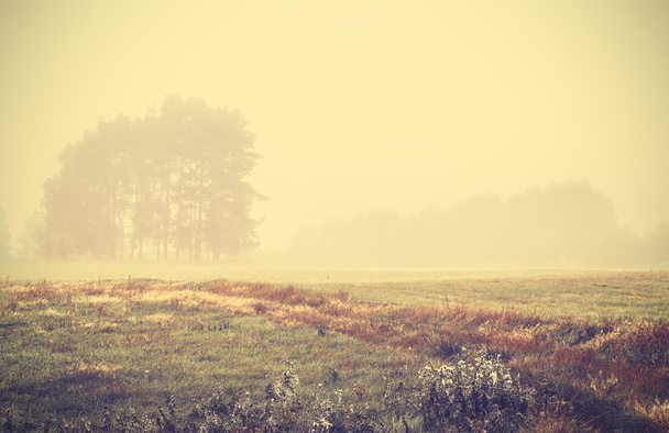Ρετρό τονισμένα ομίχλη Φθινοπωρινό τοπίο με την Ανατολή. - Φωτογραφία, εικόνα