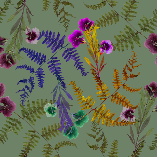 Herbarium plants background - Фото, зображення